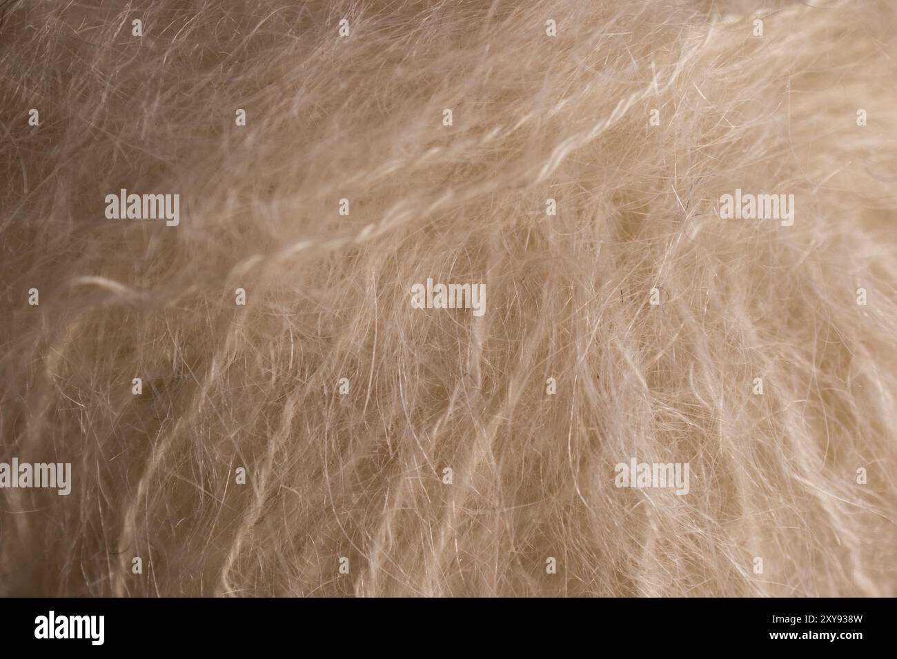 High in fibres hi-res stock photography and images - Alamy