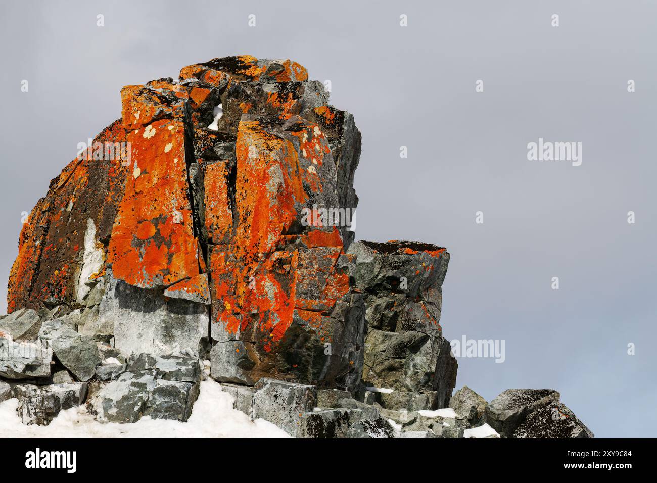 View of lichen covered rocks on Half Moon Island in the South Shetland Group, Antarctica, Southern Ocean. Stock Photo
