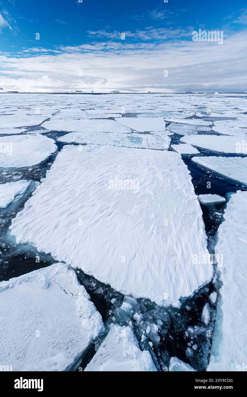 First Ice First ice sheet hi-res stock photography and images - Alamy