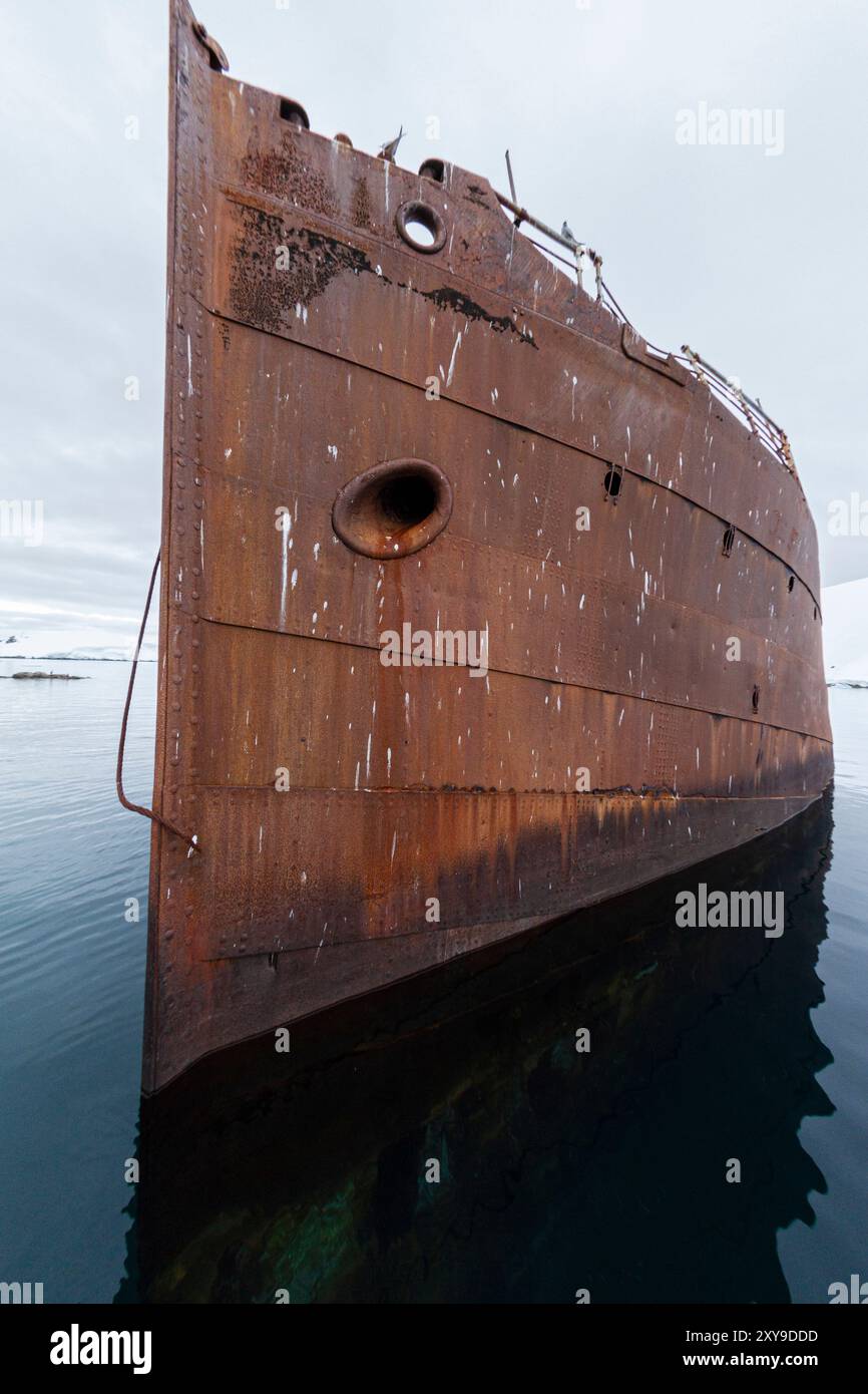 Views of the wreck of the Guvernoren, a 20th century whale processing ...