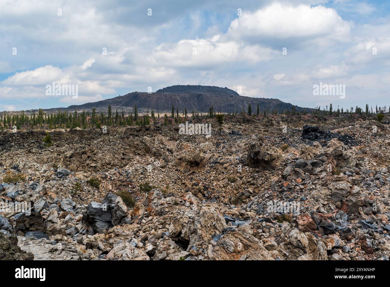 Modoc Obsidian Modok national forest hi-res stock photography and images - Alamy