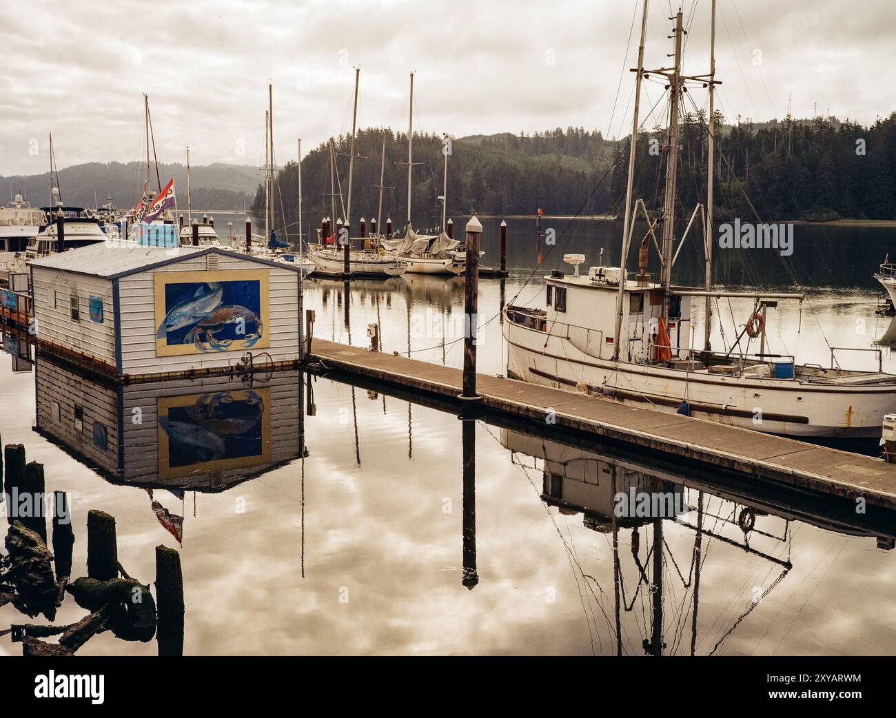 The marina at Florence, Oregon on the Siuslaw River, with fishing boats and a rustic seafood shack reflecting in the calm waters. Stock Photo