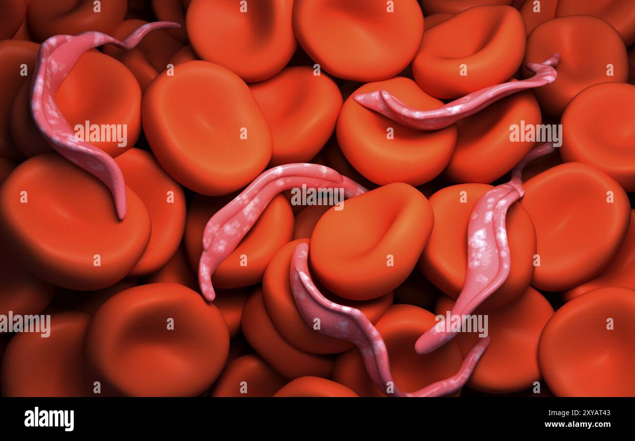 Conceptual image of Trypanosoma Stock Photo