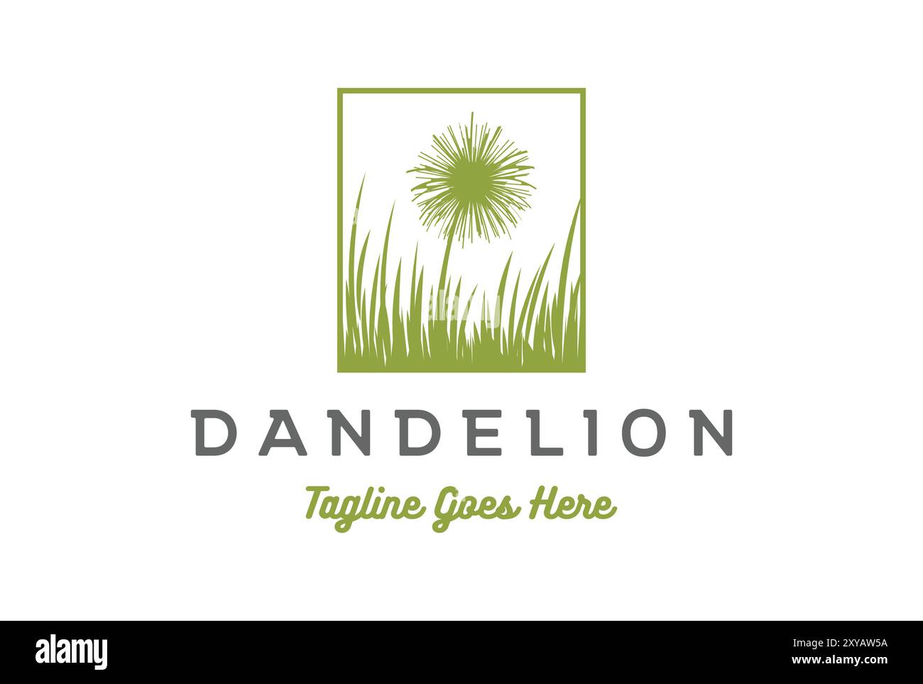 Square Beauty Dandelion Flower Grass Logo Design Vector Stock Vector