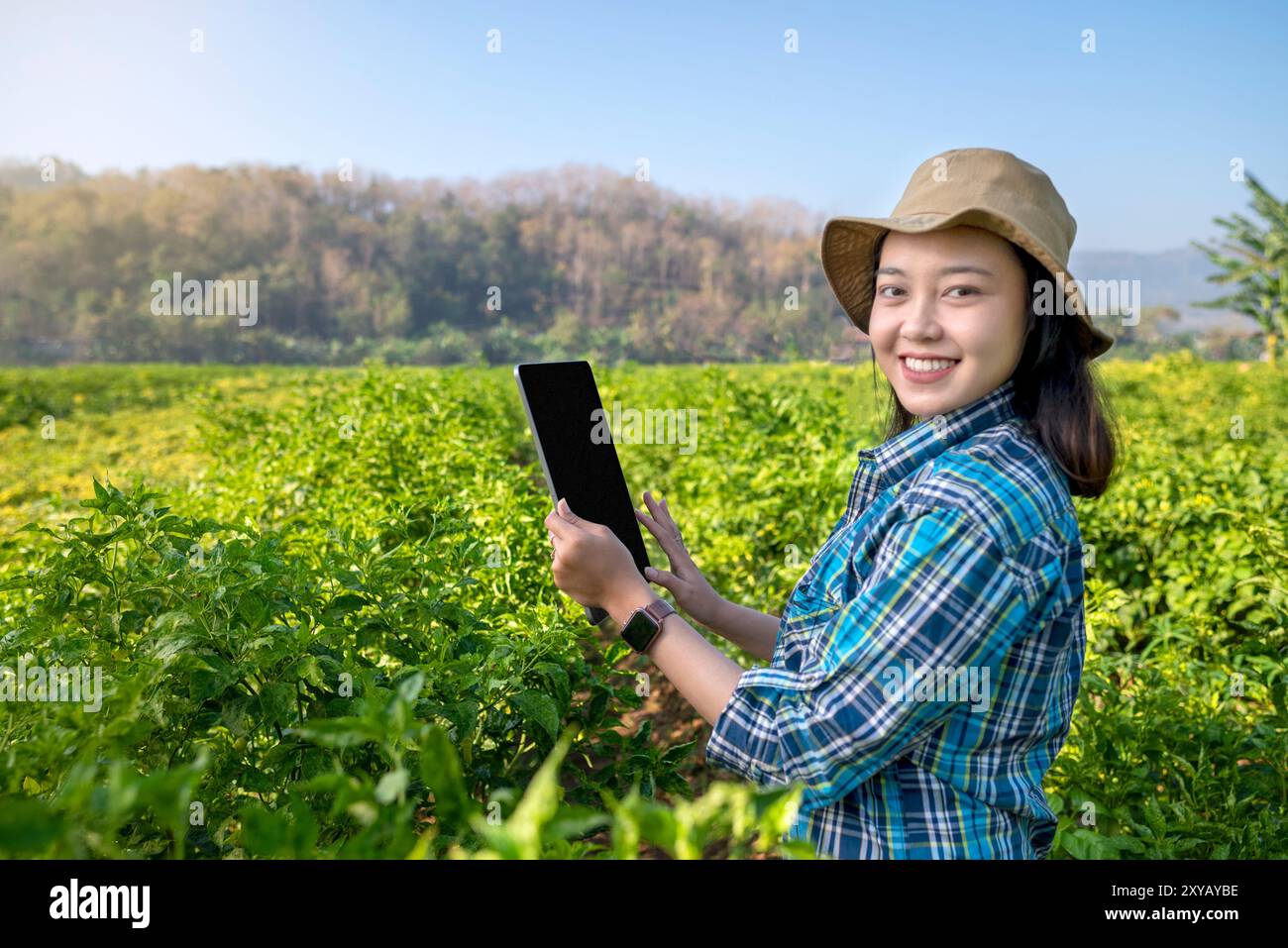 An Indonesian farmer girl is holding a tablet on the chili farm. She is smiling and she is enjoying herself Stock Photo