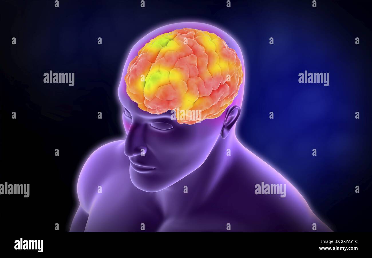 Conceptual image of human brain Stock Photo - Alamy