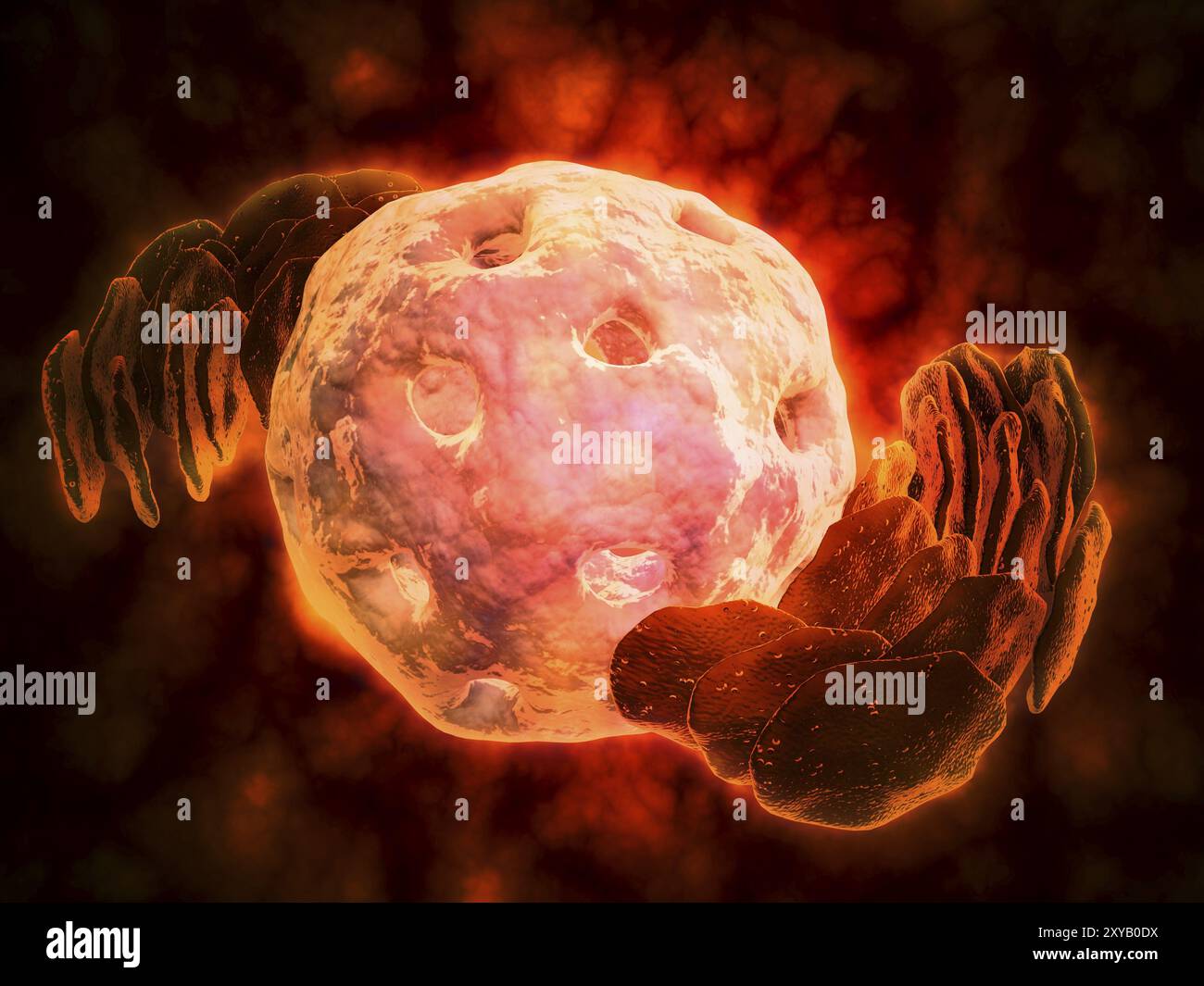 Conceptual image of endoplasmic reticulum around a cell nucleus. Endoplasmic reticulum is an organelle that forms a continuous membrane system of flat Stock Photo