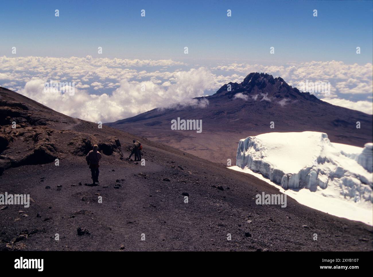Glaciers in africa hi-res stock photography and images - Alamy