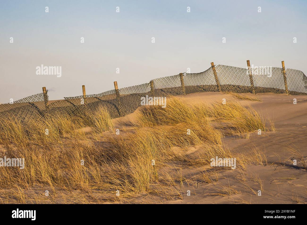Dune on the beach at Warnemuende Stock Photo - Alamy