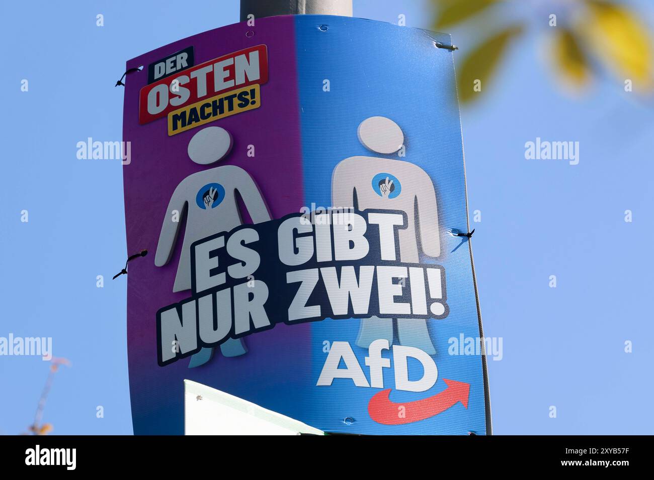 Ein Wahlplakat der Partei AfD ist an einer Strassenlaterne befestigt ...