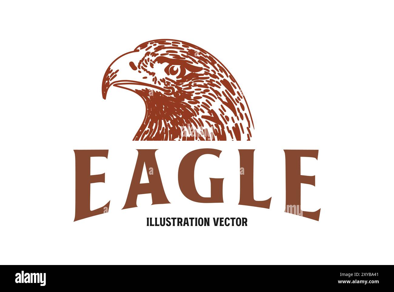 Vintage Retro Hand Draw American Bald Eagle Hawk Falcon Head ...