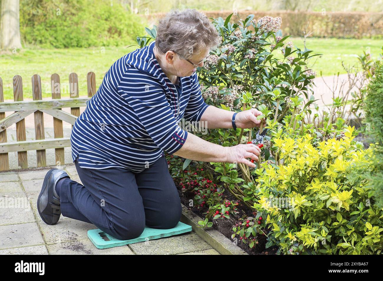 Elderly woman kneeling hi-res stock photography and images - Alamy
