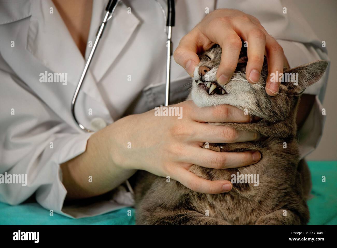 Gray robe hi-res stock photography and images - Alamy