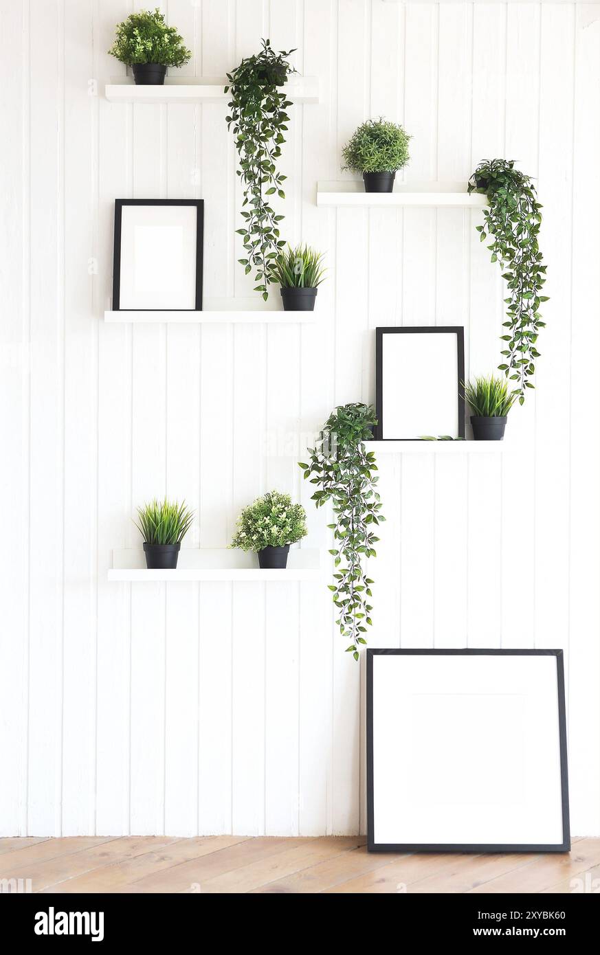Green plants on white shelves on white wall in the room Stock Photo - Alamy