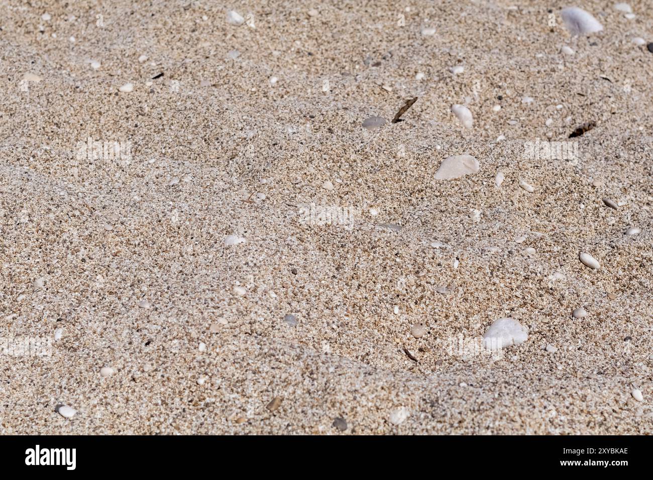 sand beach Stock Photo