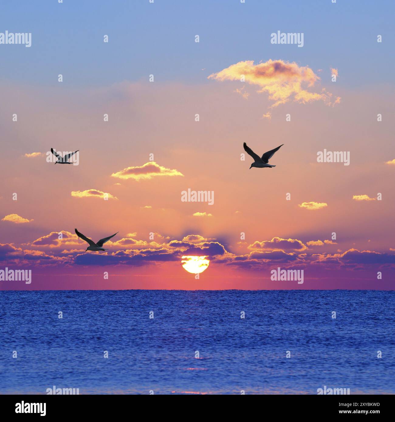 Red rising sun hi-res stock photography and images - Alamy