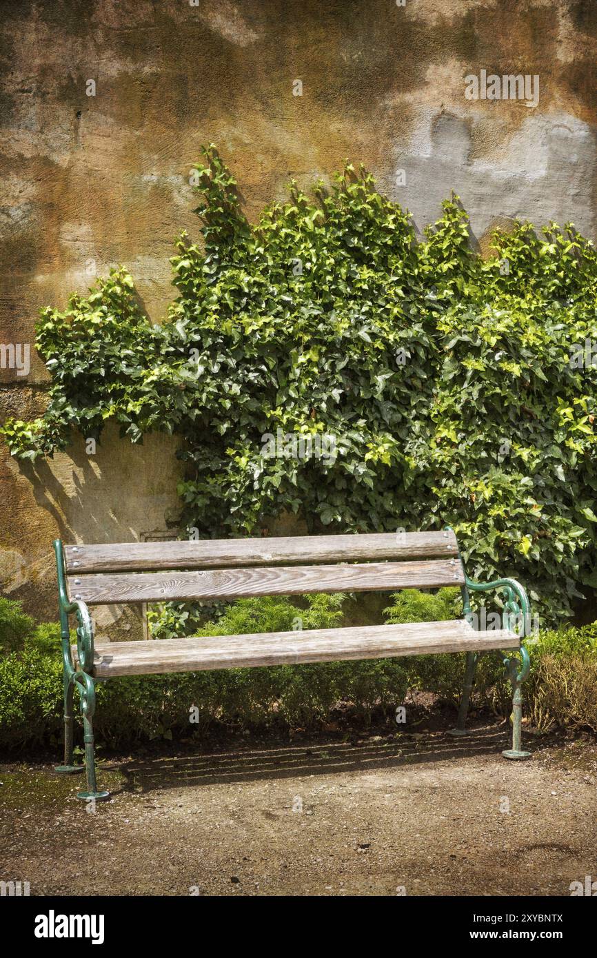Wooden bench in front of a weathered wall with ivy Stock Photo - Alamy