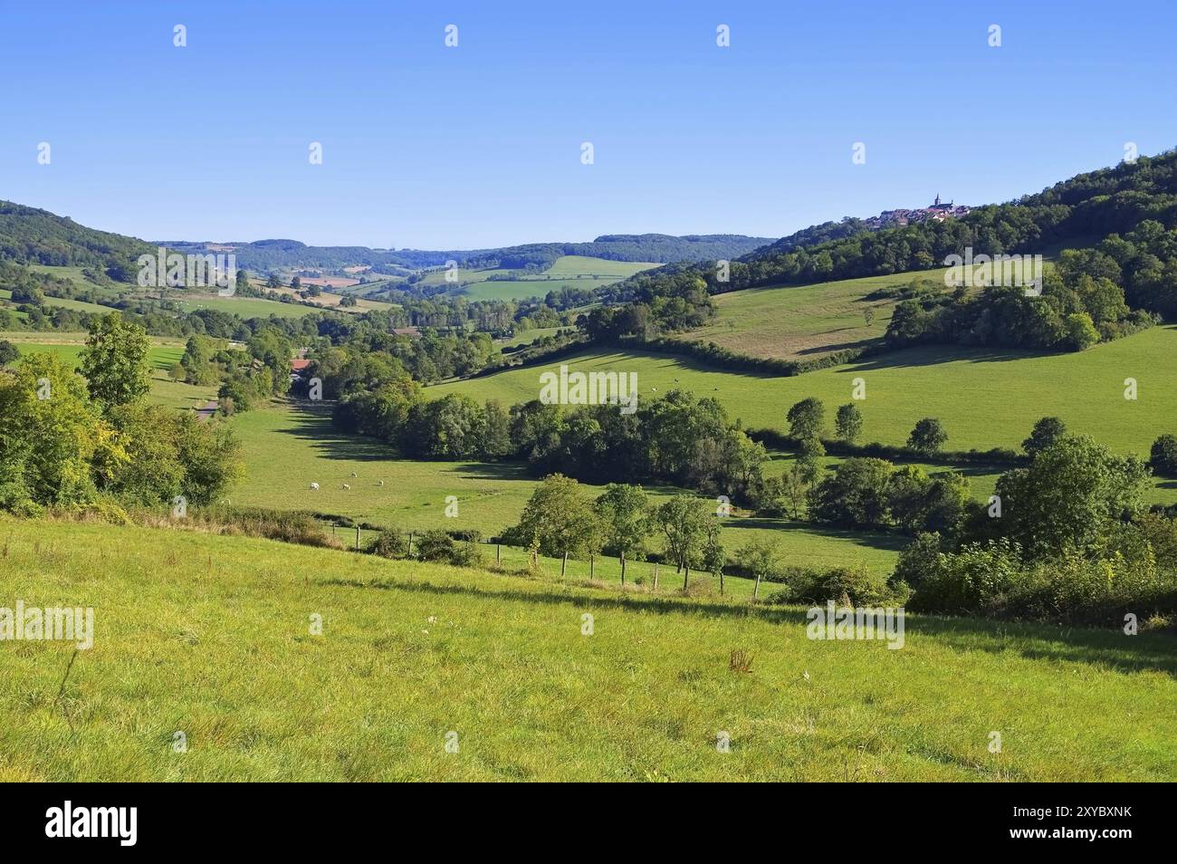 Flavigny-sur-Ozerain in Burgundy, landscape near Flavigny-sur-Ozerain in Burgundy, France, Europe Stock Photo