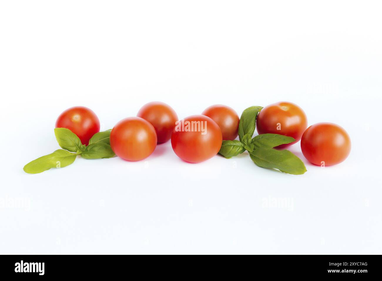 Red cherry tomatoes with green basil on a white background. Stock Photo