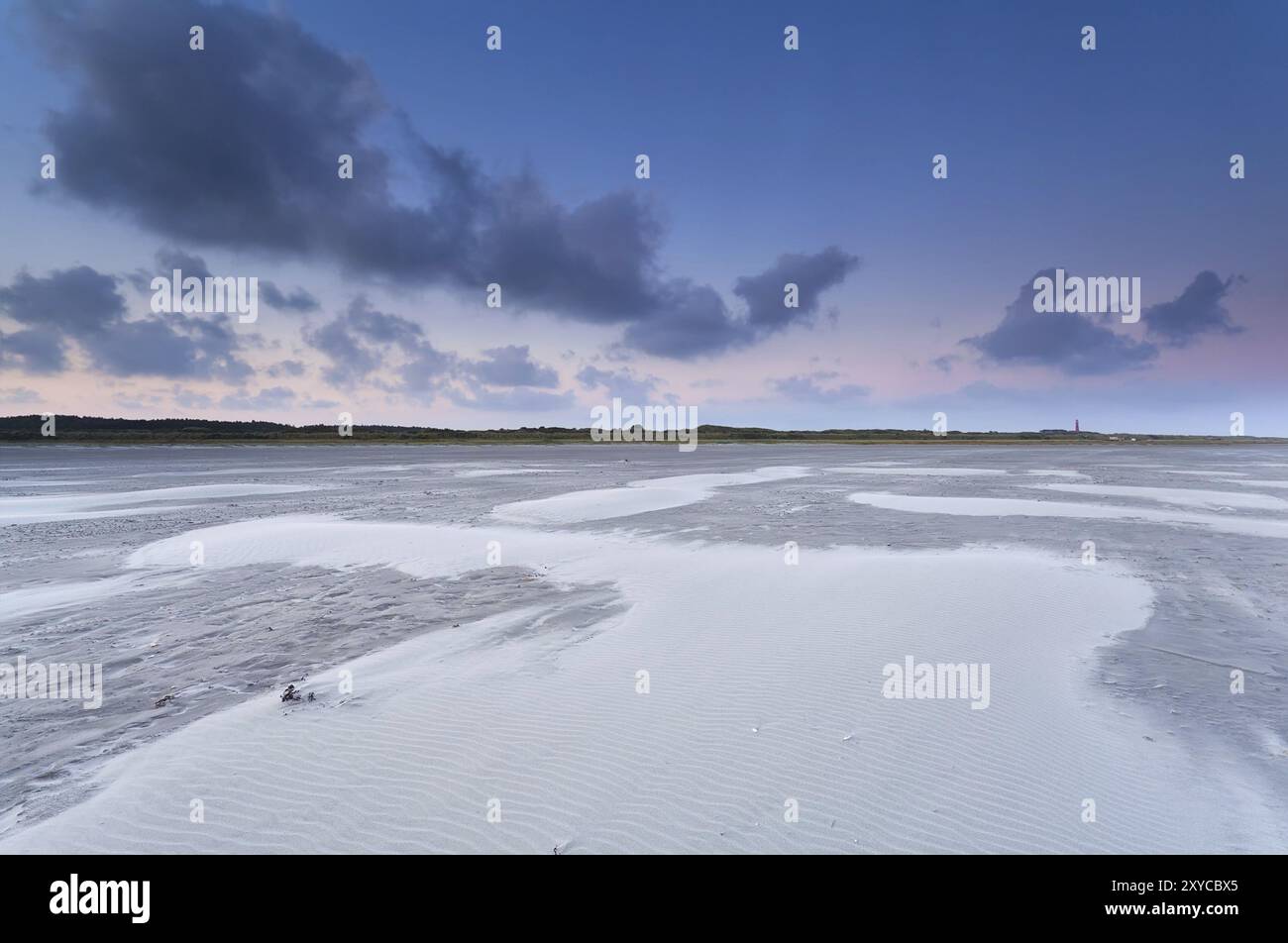 Sand dunes and wind on North sea beach, Holland Stock Photo - Alamy