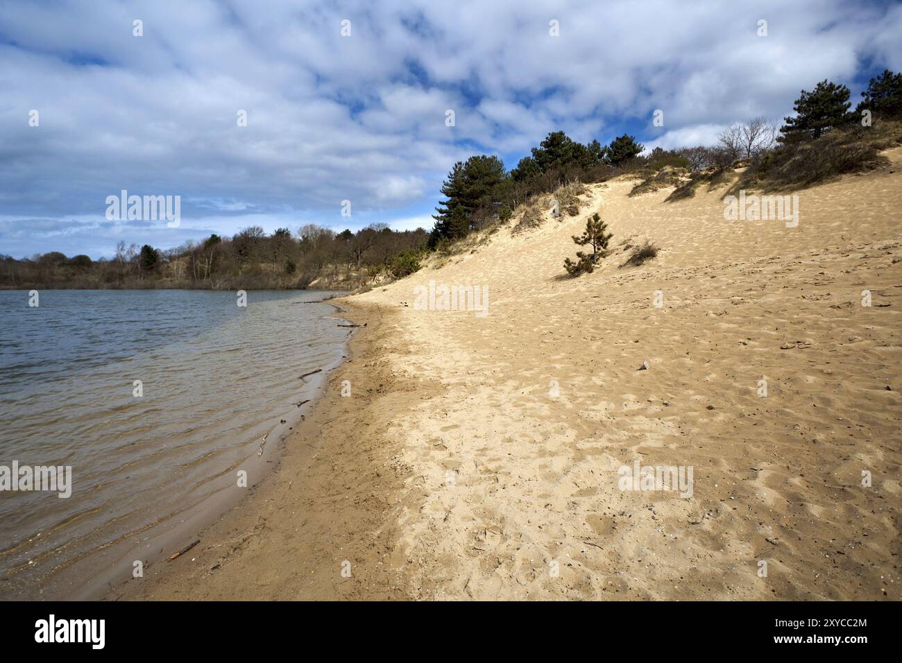 Sand beach under blue sky with white clouds Stock Photo - Alamy