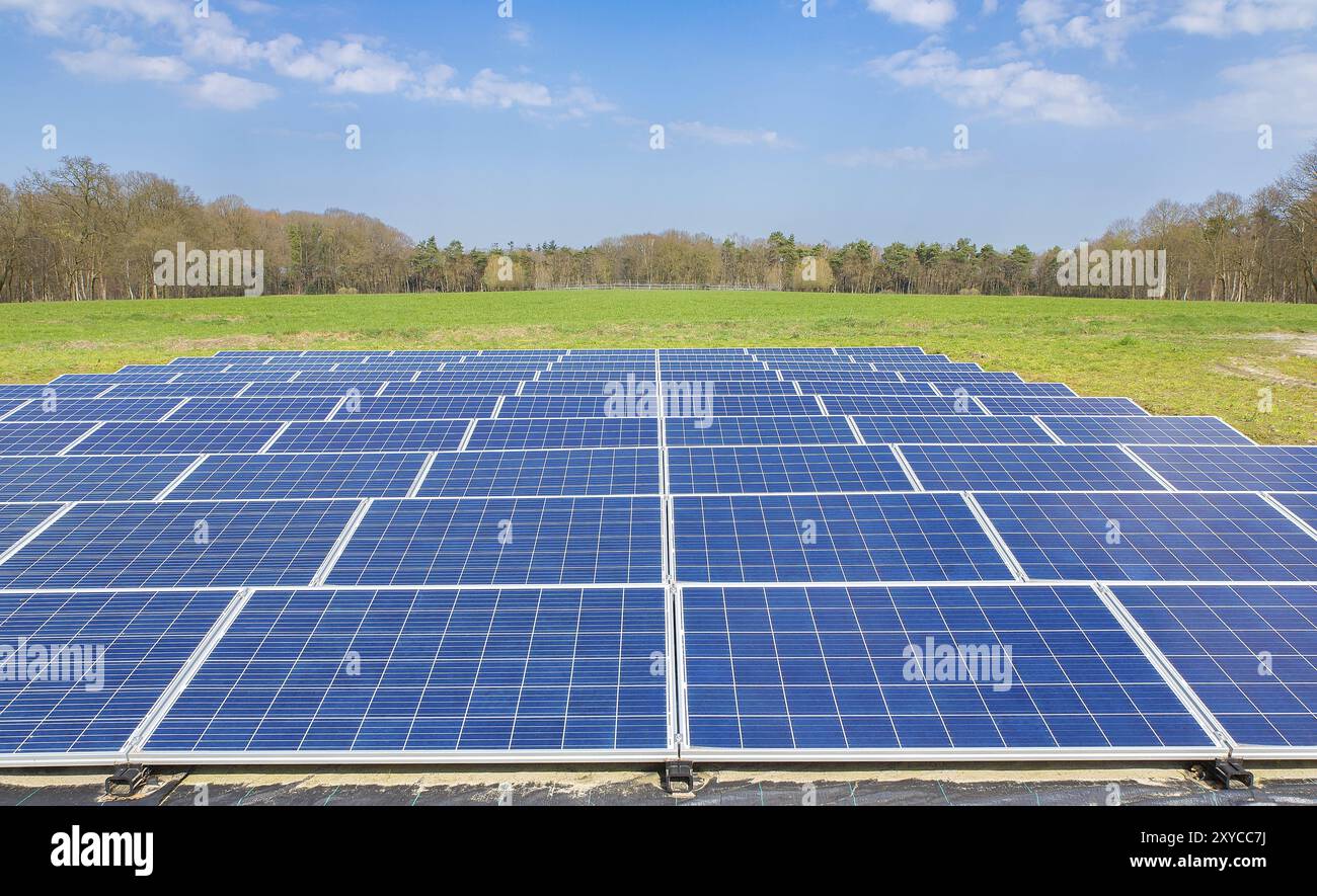 Landscape with blue solar panels field in the Netherlands Stock Photo