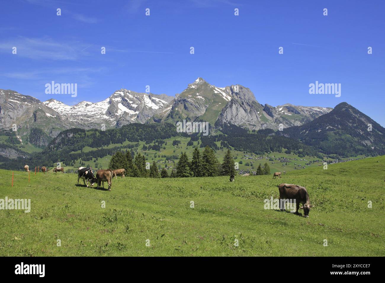 Spring Scene In The Toggenburg Valley Switzerland Europe Stock Photo spring-scene-in-the-toggenburg-valley-switzerland-europe-stock-photo