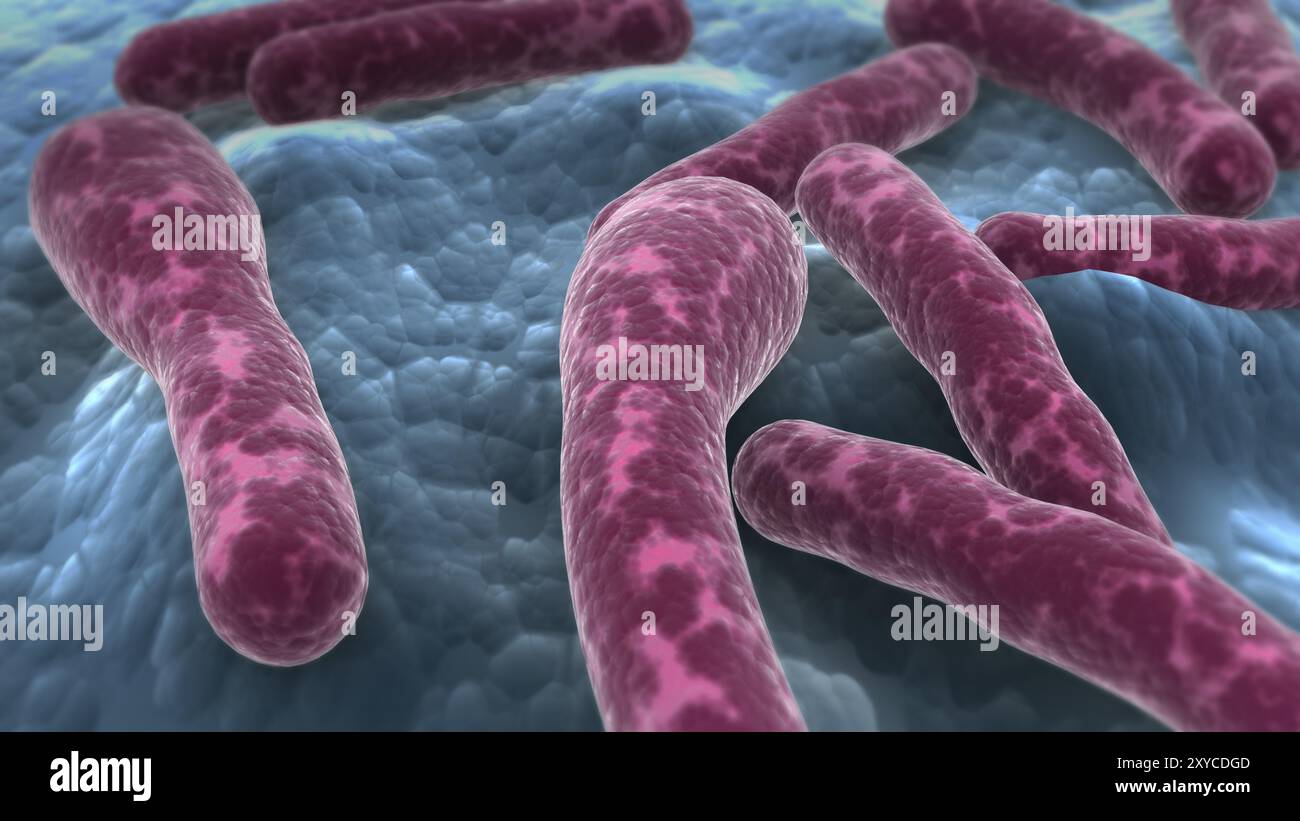 Microscopic view of Clostridium botulinum bacteria Stock Photo