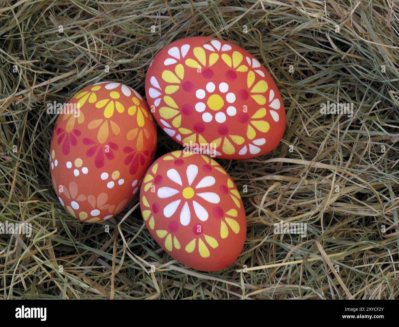 Hand-painted Easter eggs in the Easter nest Stock Photo - Alamy