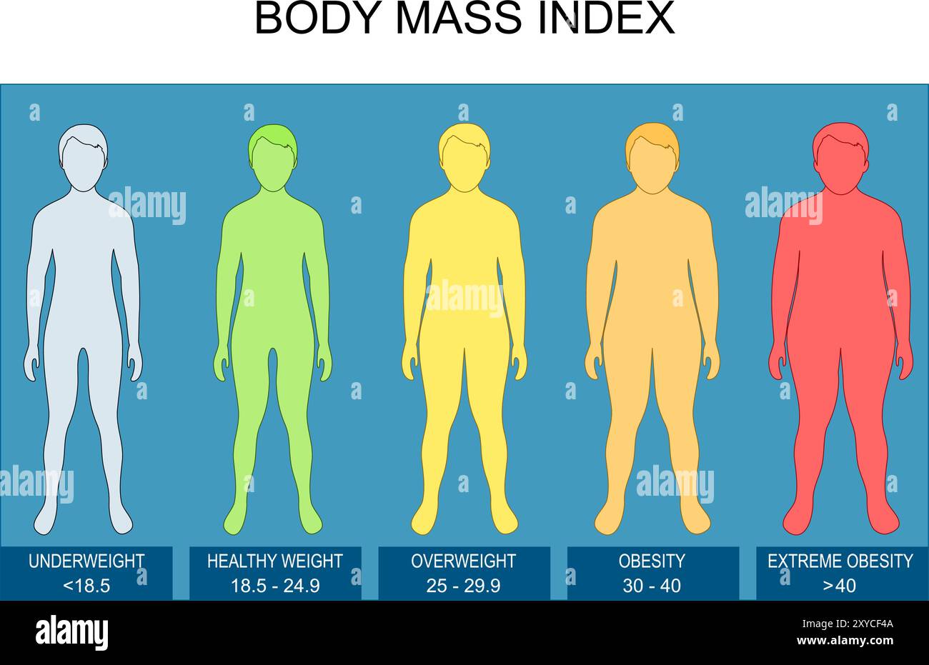 Body Mass Index. BMI calculation. Height and weight. Vector poster. Isometric Flat  illustration. Schematic diagram Stock Vector