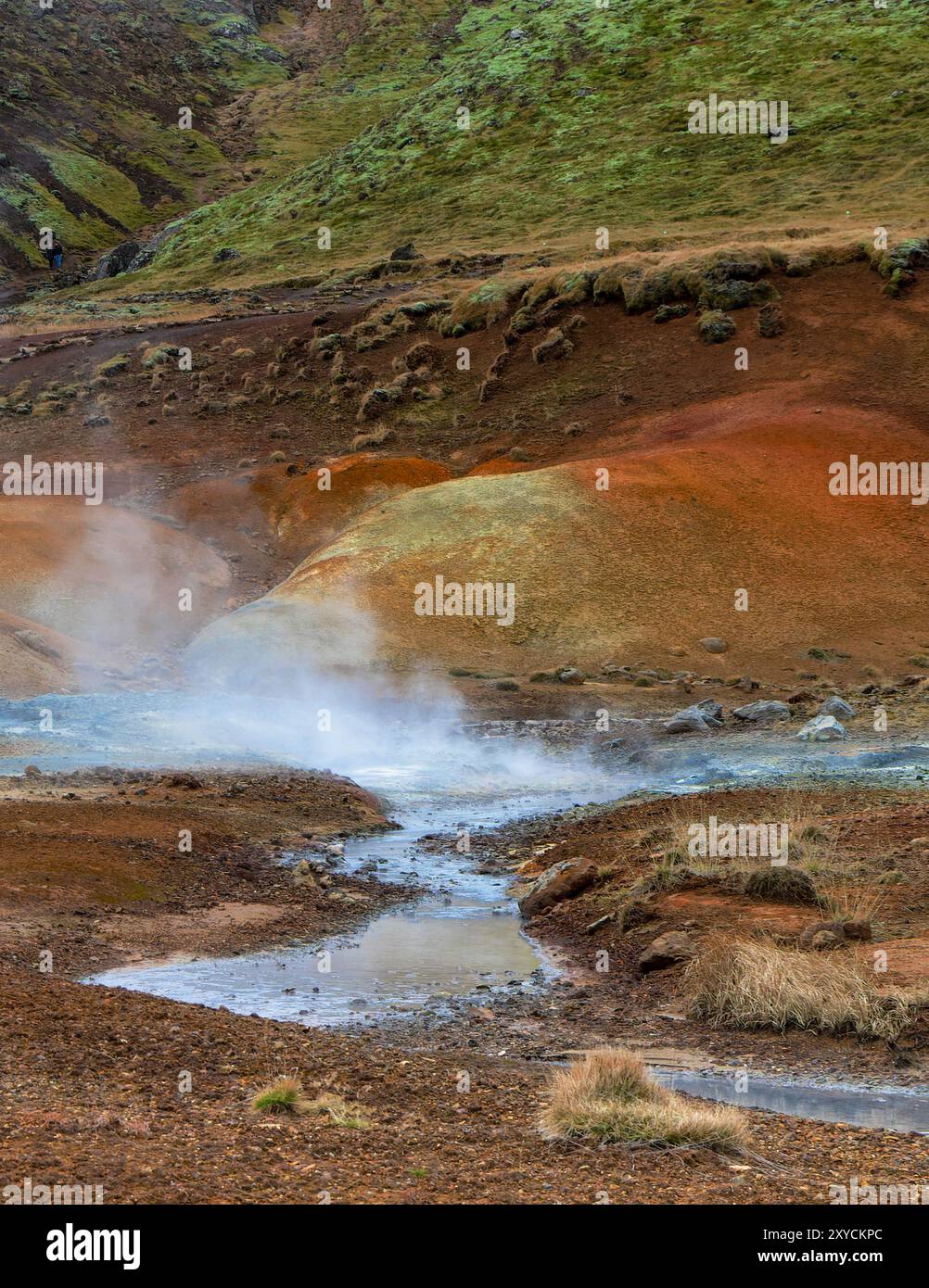 A mountain with a stream of thermal waters coming out of it. Hot spring Stock Photo