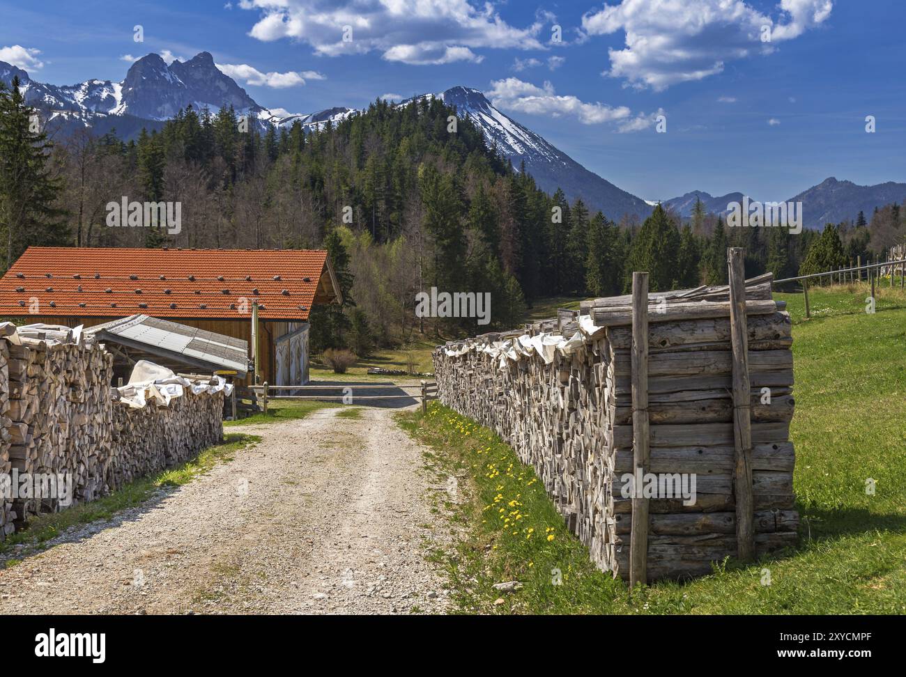 Piles Firewood Countryside Germany Hi res Stock Photography And Images piles-firewood-countryside-germany-hi-res-stock-photography-and-images