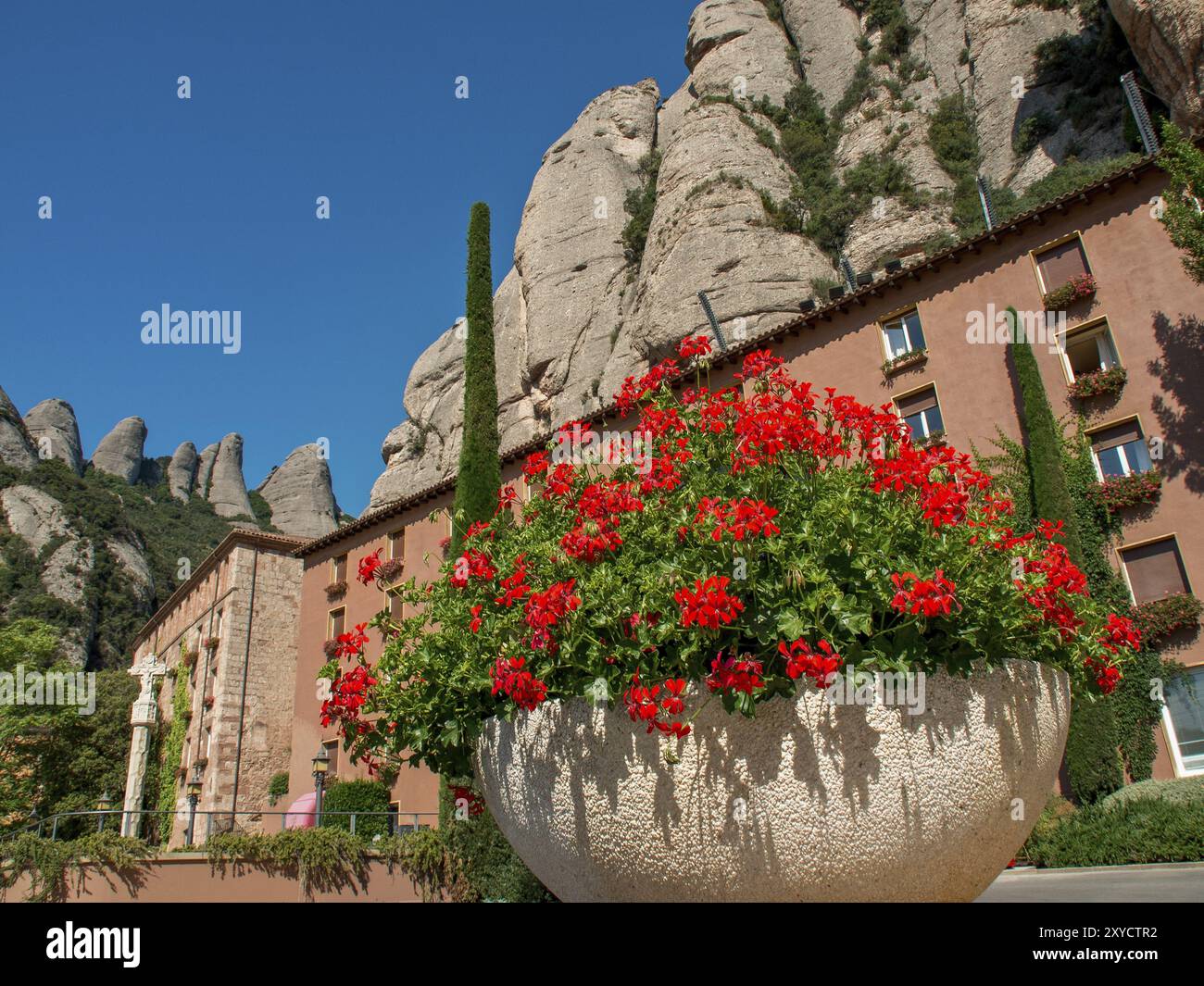 Large flower pot with red flowers in front of historic buildings and mountains under a blue sky, montserrat, spain Stock Photo