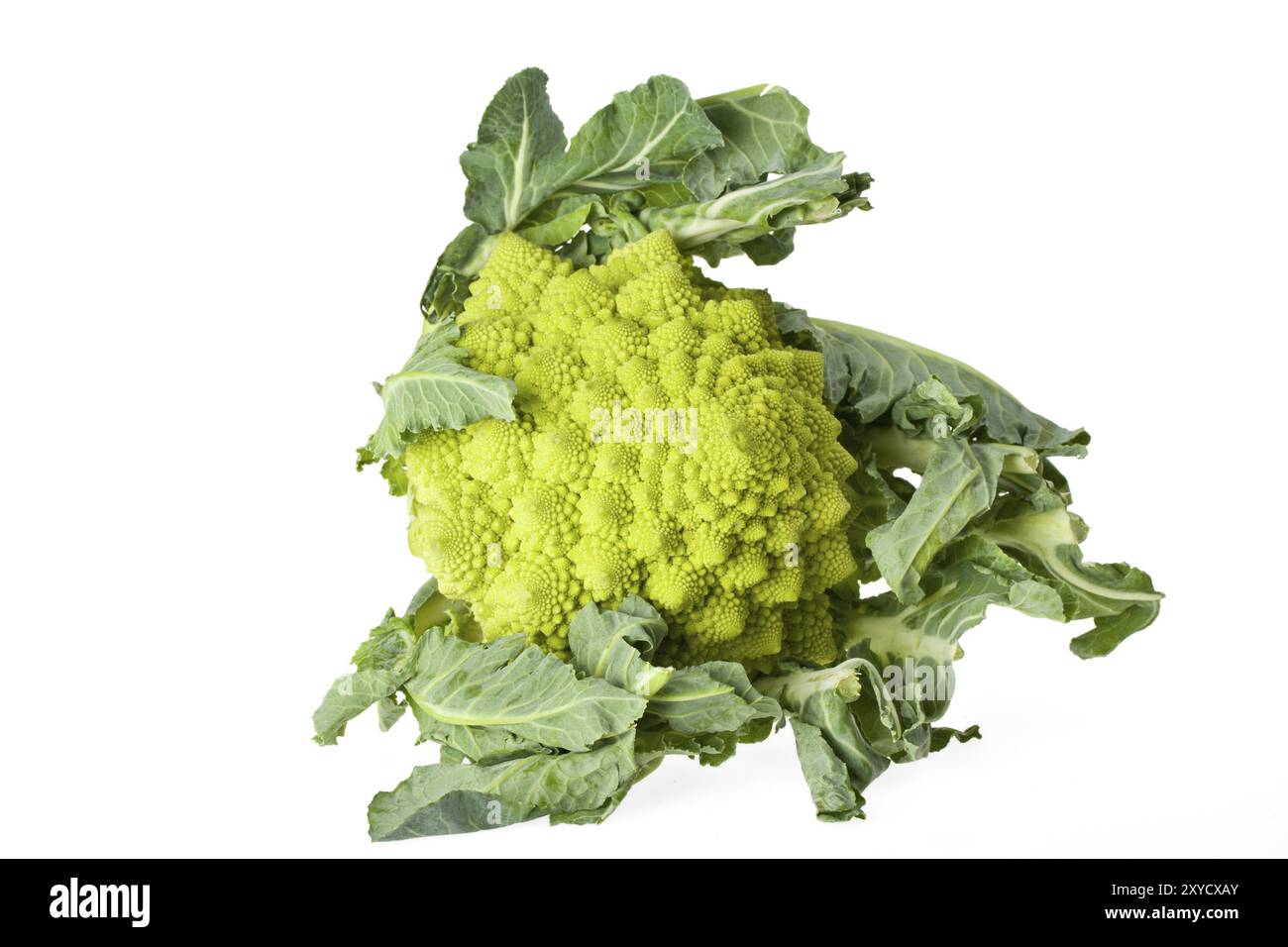 Single romanesco vegetable isolated on white Stock Photo