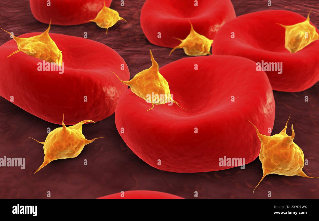 Conceptual image of platelets with red blood cells Stock Photo - Alamy