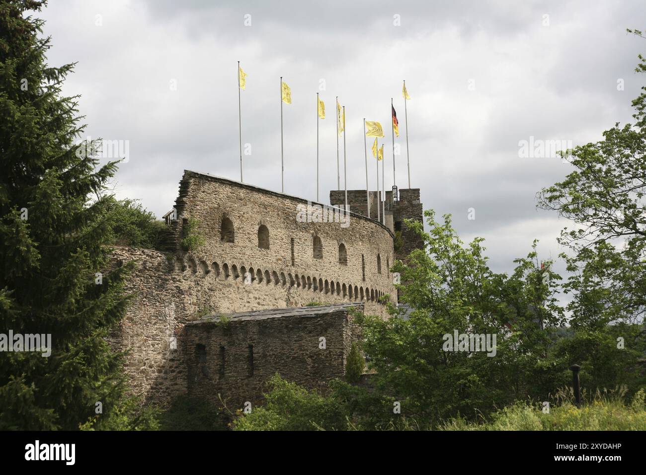 Castle ruins above St. Goar on the Rhine Stock Photo - Alamy