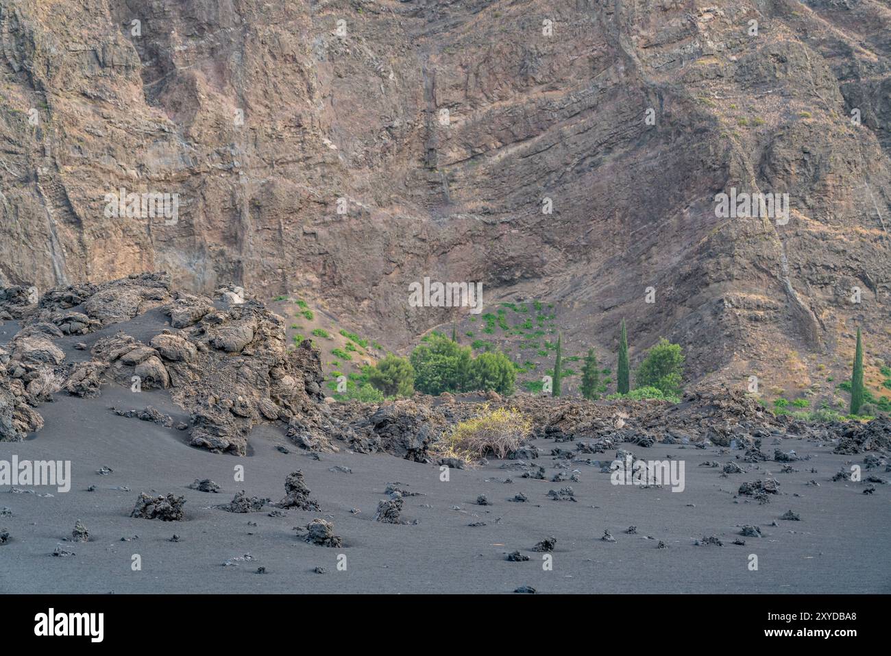 Pico do fogo volcano crater in cha das caldeiras hi-res stock ...