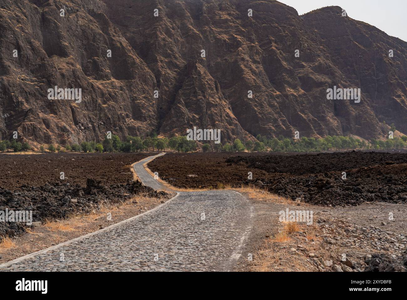 Stone road in the lava Crater of Pico do Fogo at the wine village Cha ...