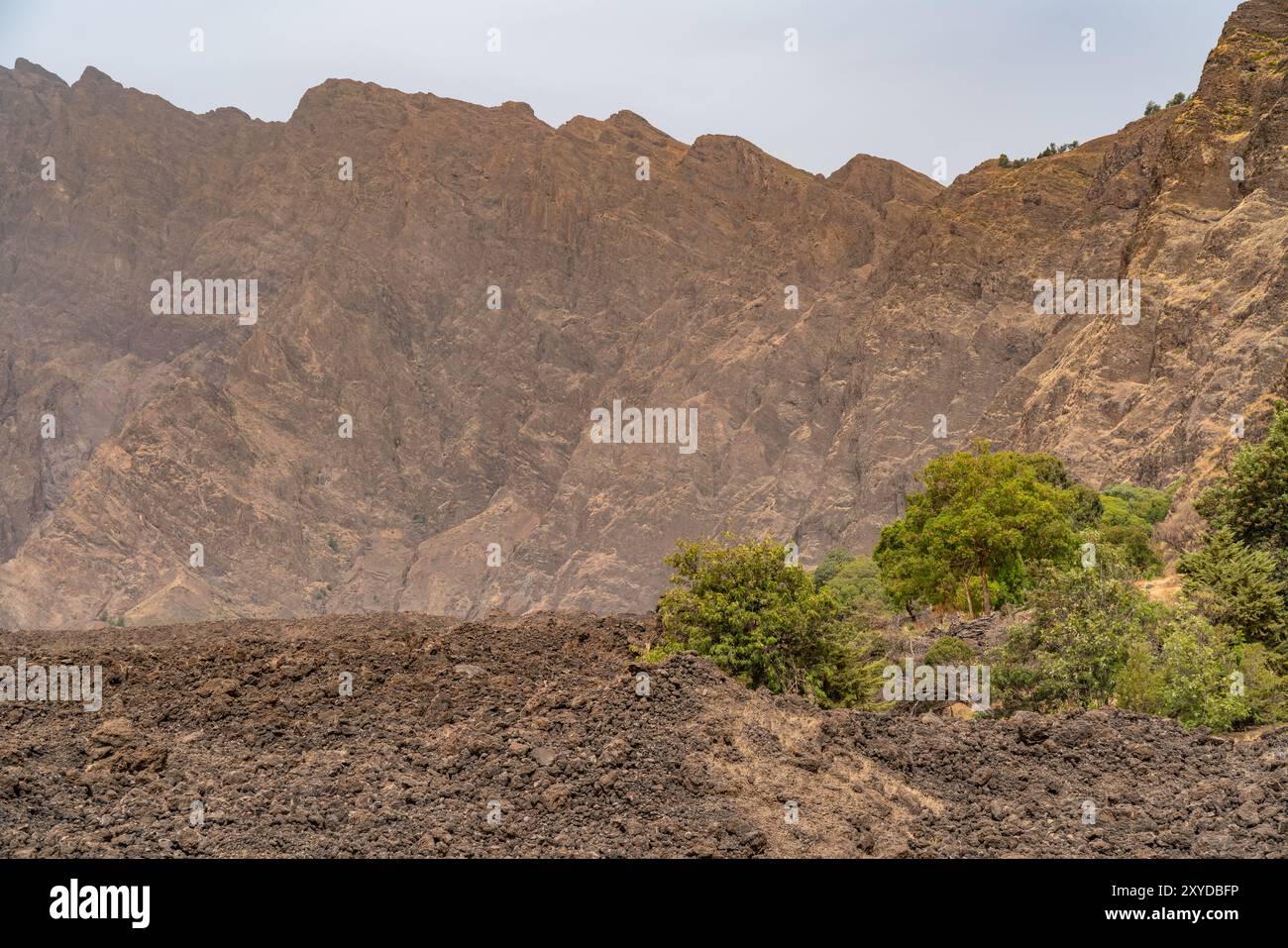 Pico do fogo volcano crater in cha das caldeiras hi-res stock ...