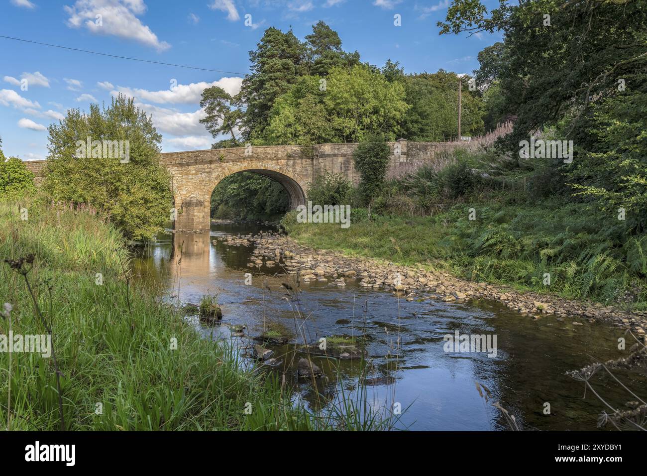 Rivers in northumberland hi-res stock photography and images - Alamy