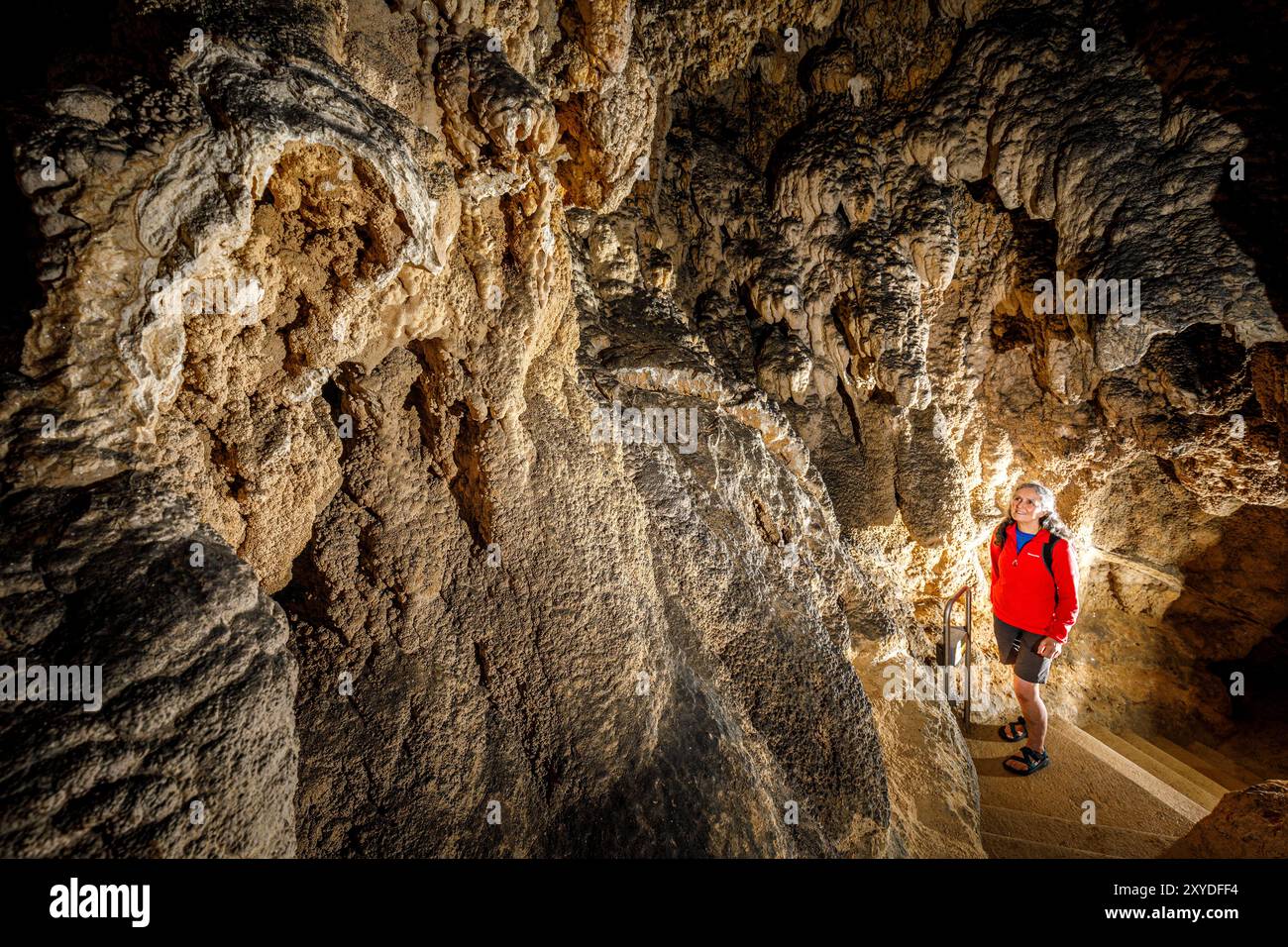 Semiz anal bilan porno orgies