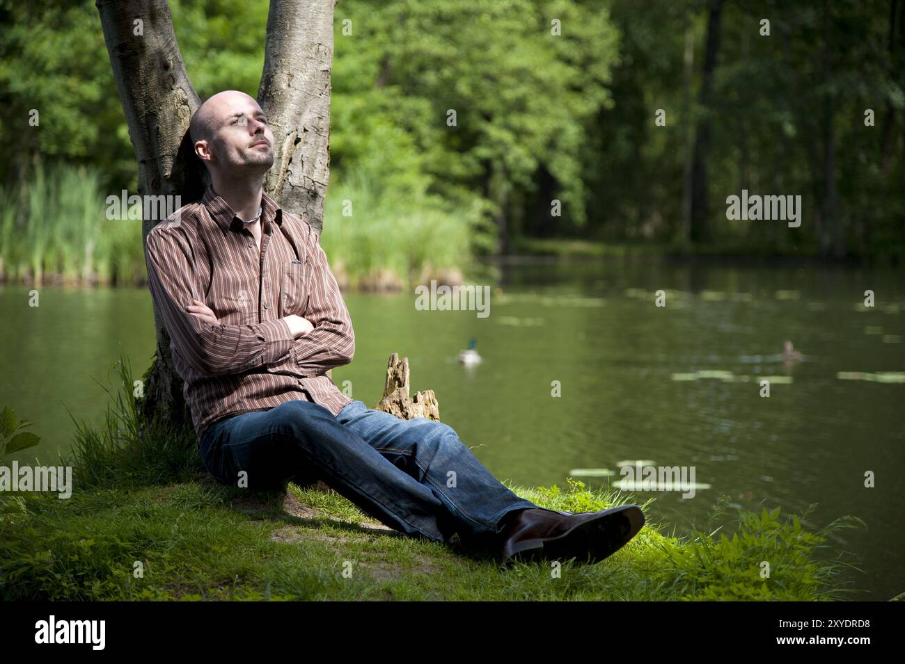 Tree leans lake hi-res stock photography and images - Alamy