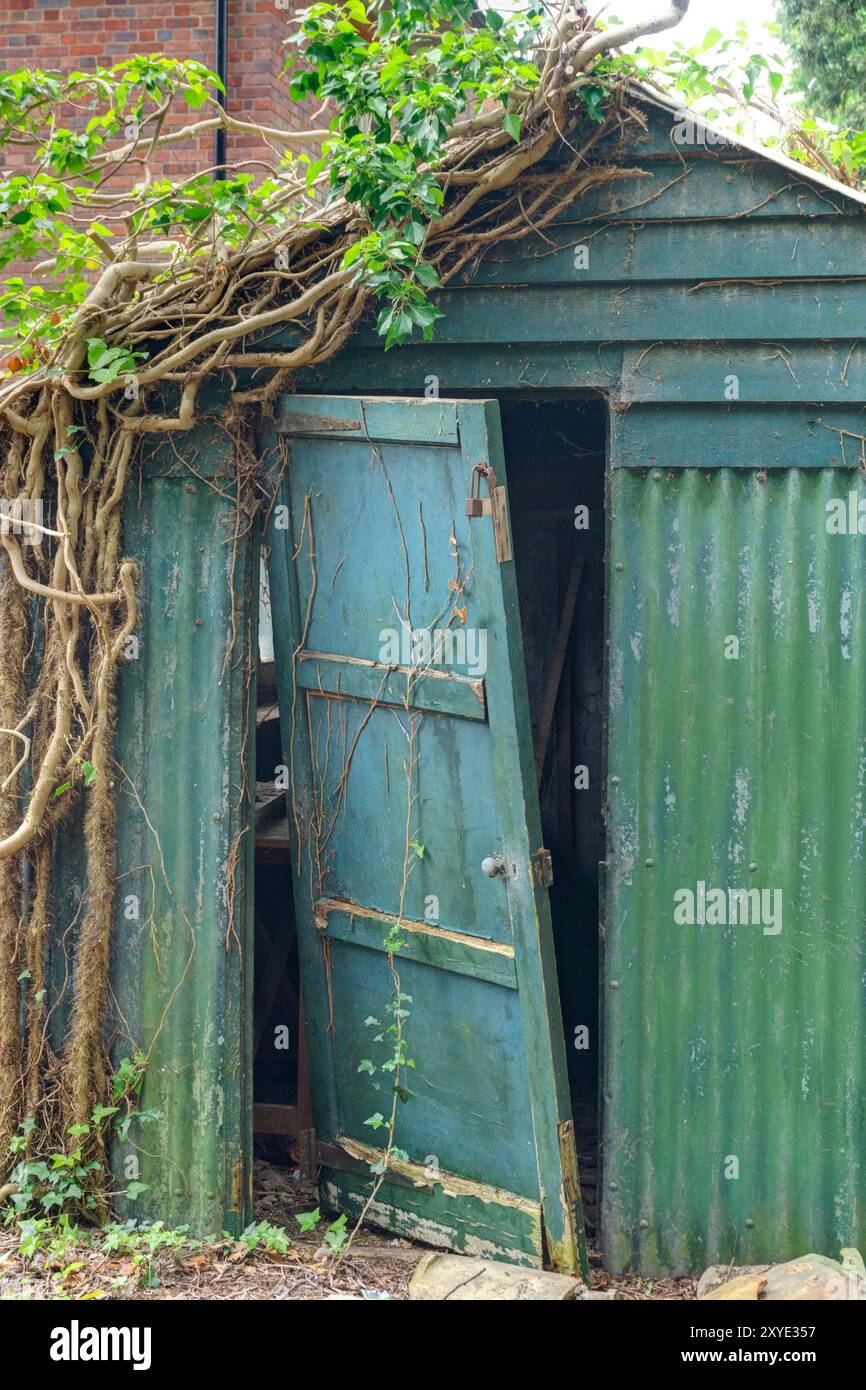 green shed door slightly open with broken hinges on rotting shed Stock ...