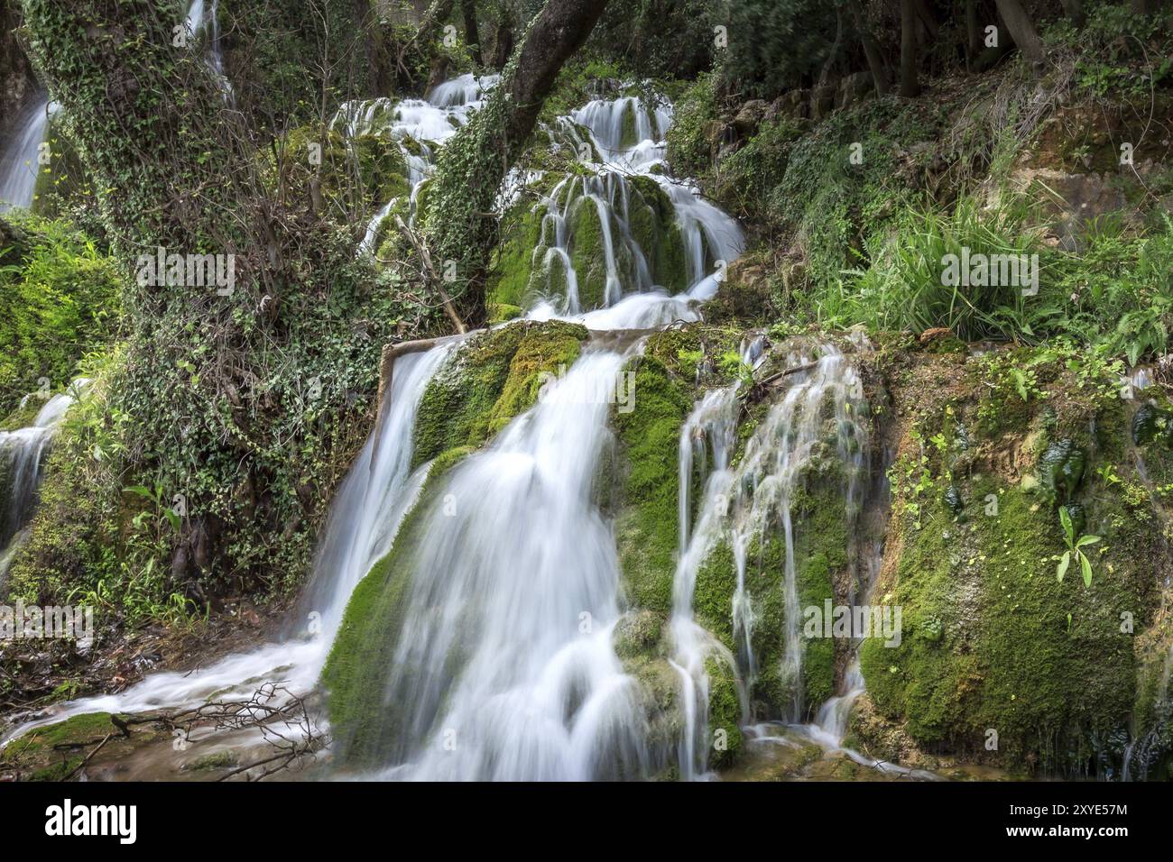 Beautiful waterfall cascade with green moss in the forest, spring ...