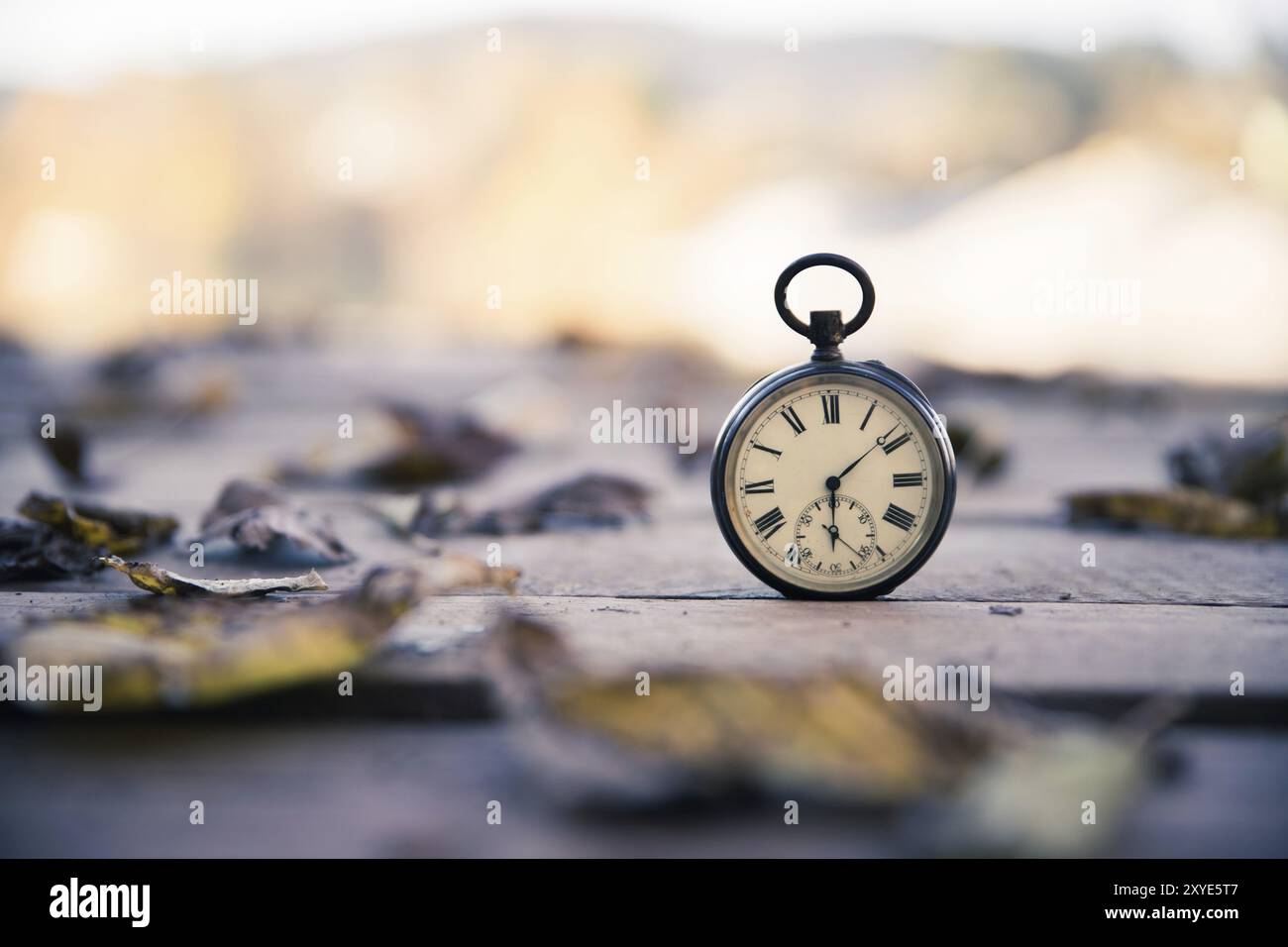 Vintage pocket watch on a wood board, colourful leaves, autumn Stock Photo