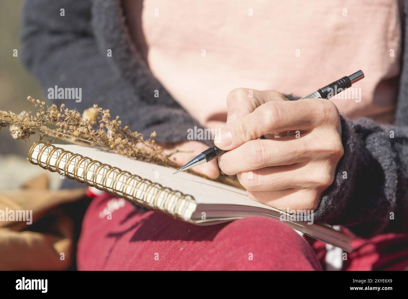 Close-up on the hands of a girl holding a blank notebook. A dry bouquet of herbs in her hand and a pencil. Travel designer artist Stock Photo