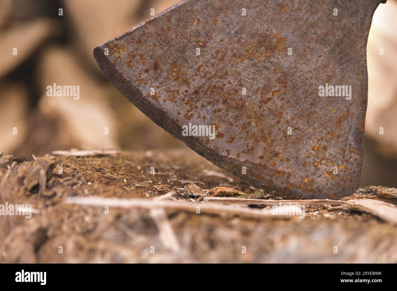 The blade of the Ax is stuck in a log against the background of chopped firewood lying in a flat pile. Close-up Stock Photo