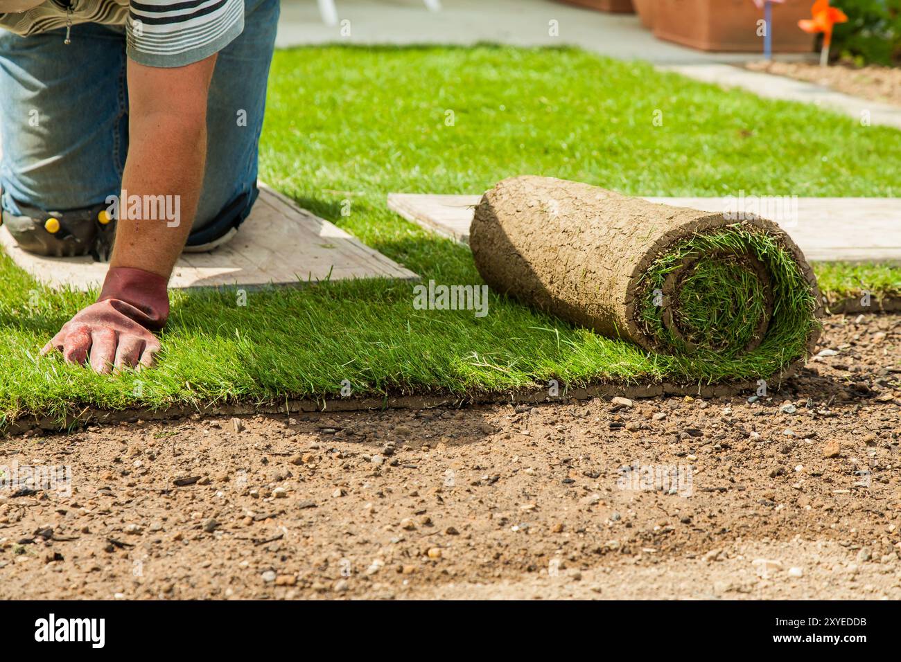 Gardening - Gardener laying sod for the new lawn Stock Photo - Alamy