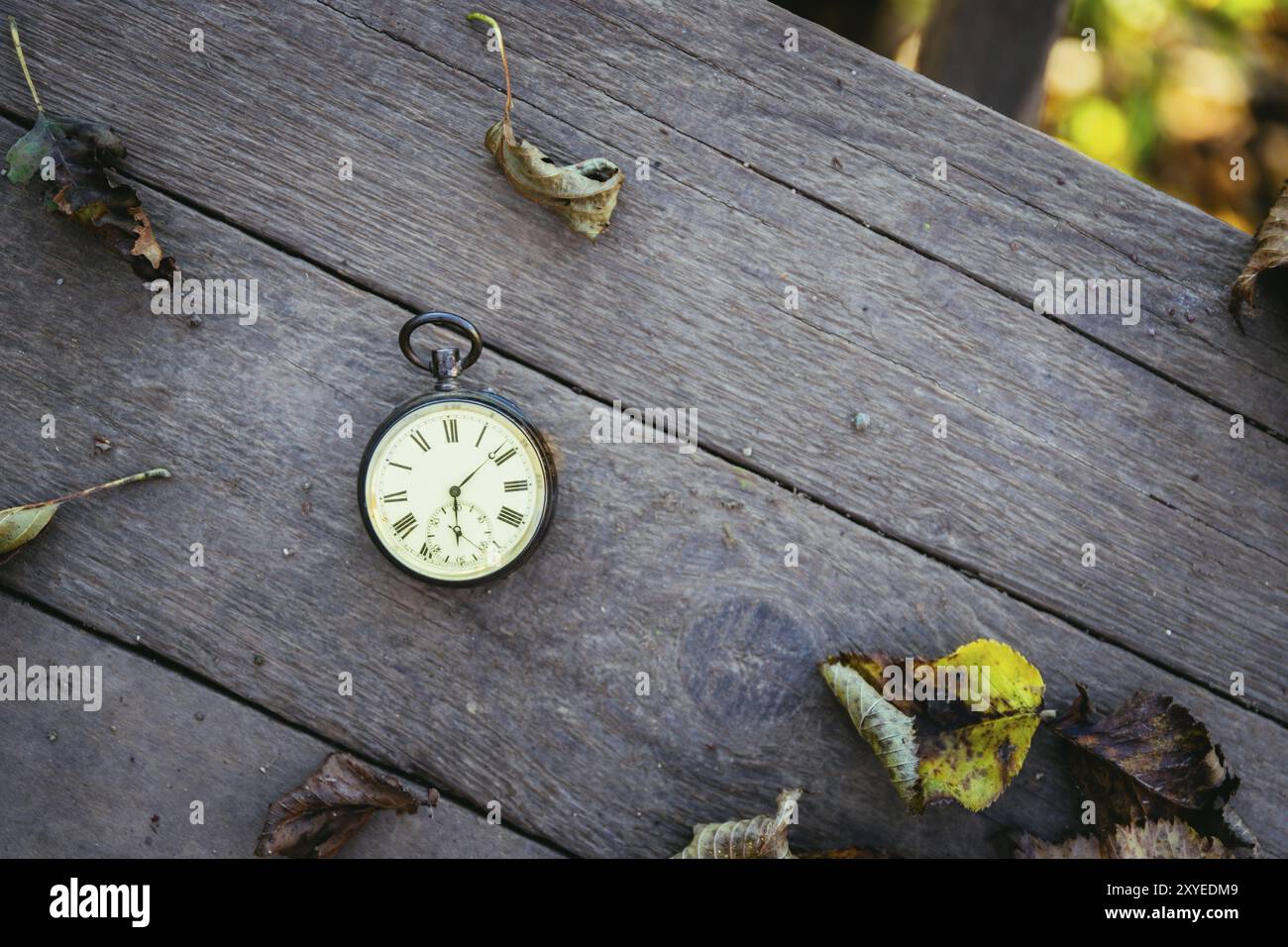 Vintage pocket watch on a wood board, colourful leaves, autumn Stock Photo