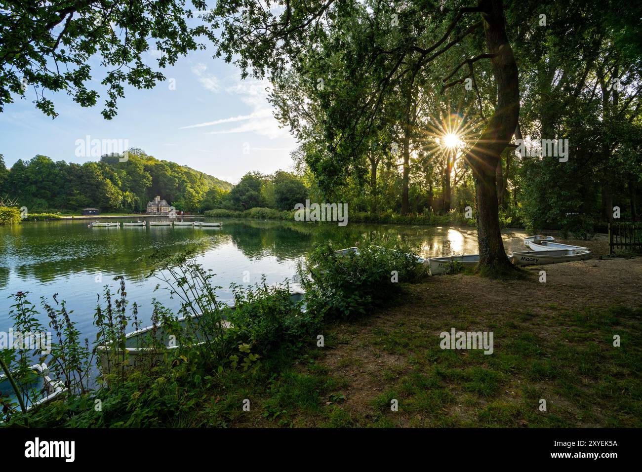 Sunrise at Swanbourne lake, Arundel, West Sussex, England, Uk Stock Photo